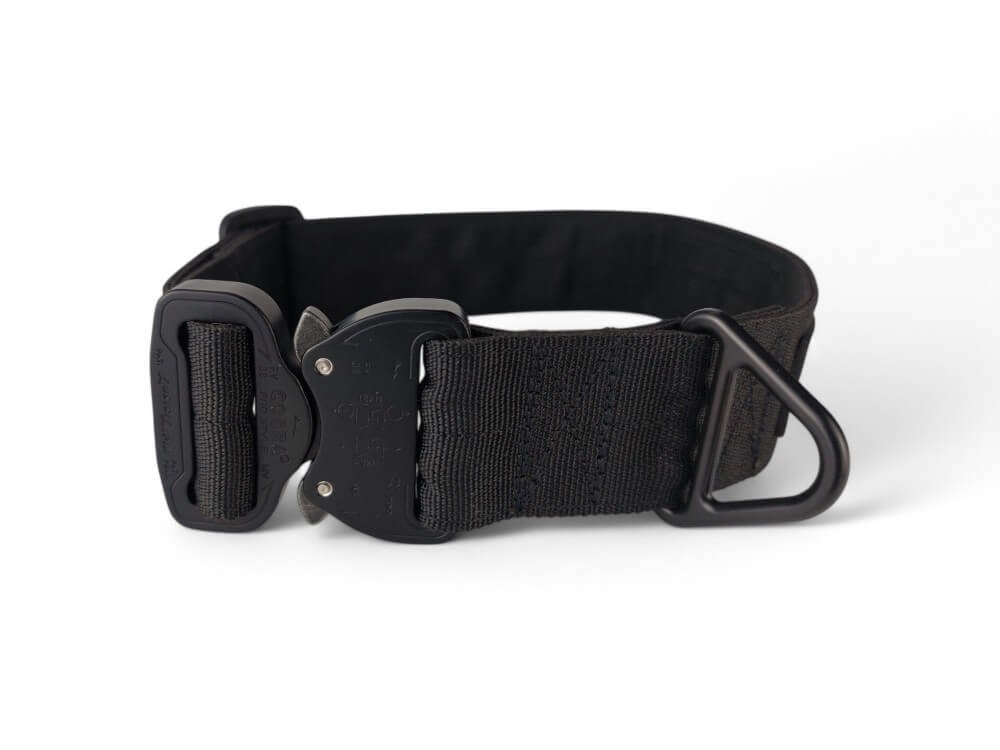 Halsband 40mm Schwarz