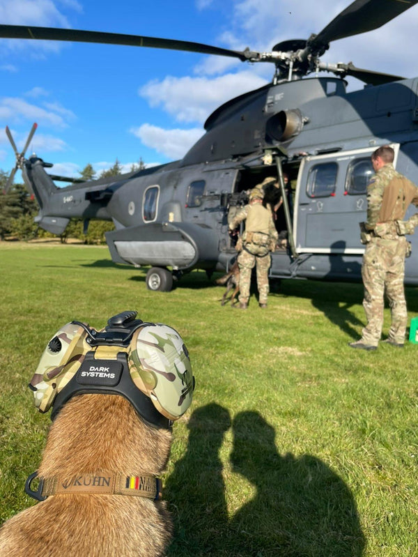 Diensthund mit Kühn-Halsband vor einem Transporthubschrauber