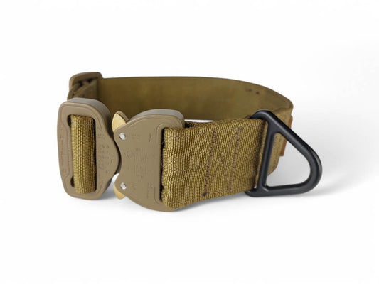 Halsband 40mm Coyote Brown