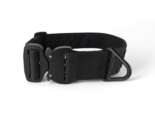 Halsband 40mm Schwarz