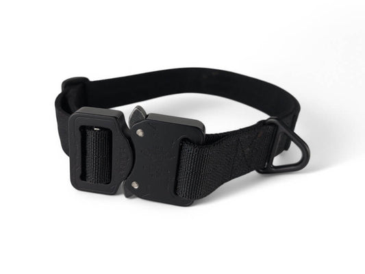 Halsband 25mm Schwarz