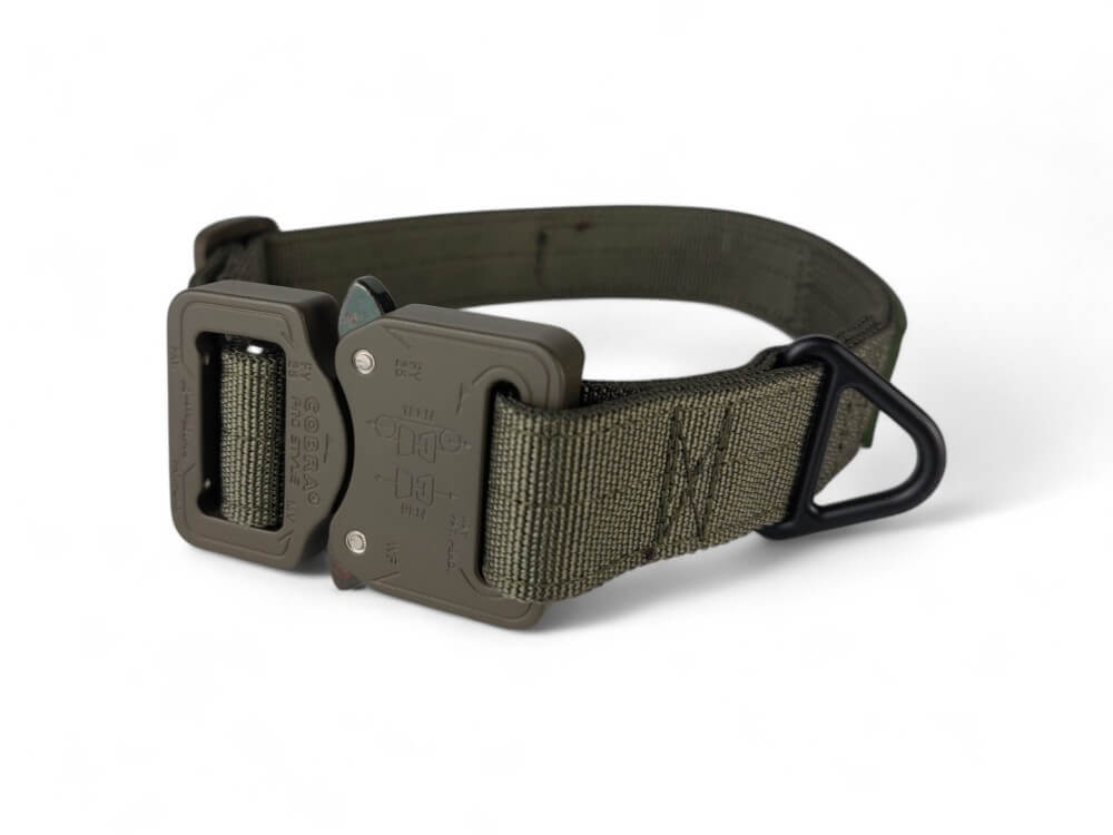 Halsband 25mm Oliv
