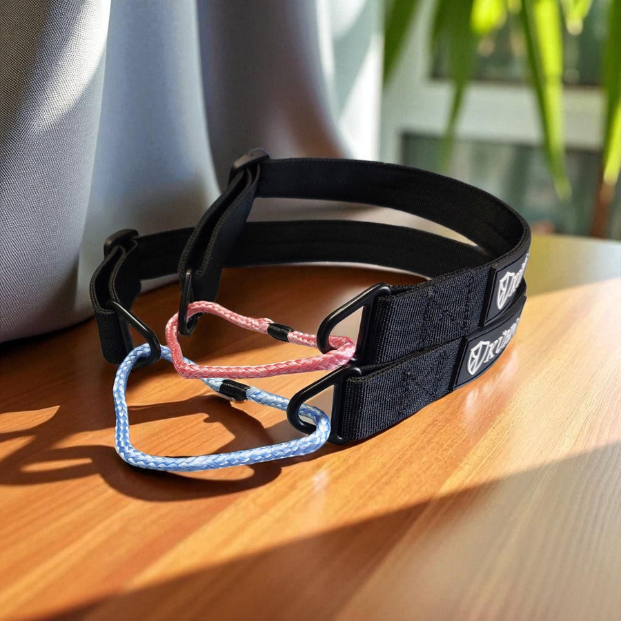 Sonderanfertigung Halsband Canicross